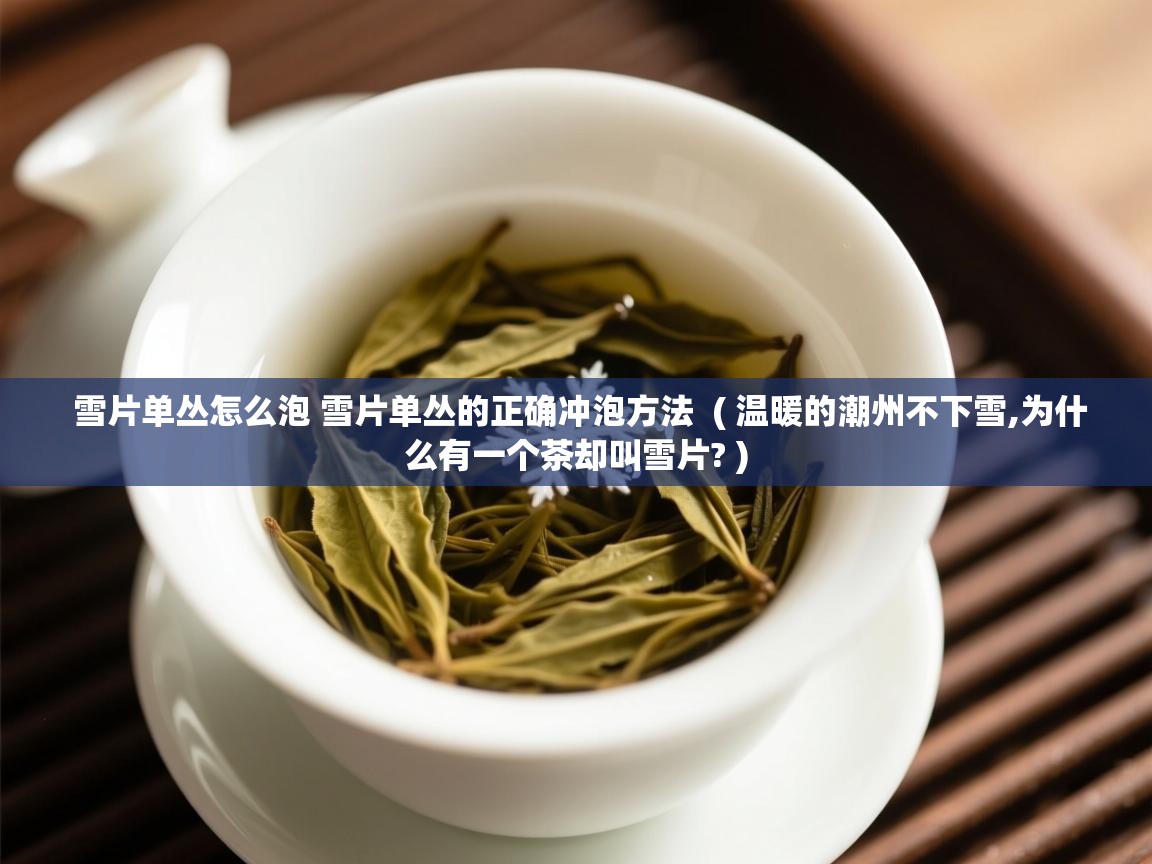 详细阅读: 雪片单丛怎么泡 雪片单丛的正确冲泡方法  ( 温暖的潮州不下雪,为什么有一个茶却叫雪片? )  雪片单丛怎么泡 雪片单丛的正确冲泡方法  ( 温暖的潮州不下雪,为什么有一个茶却叫雪片? )