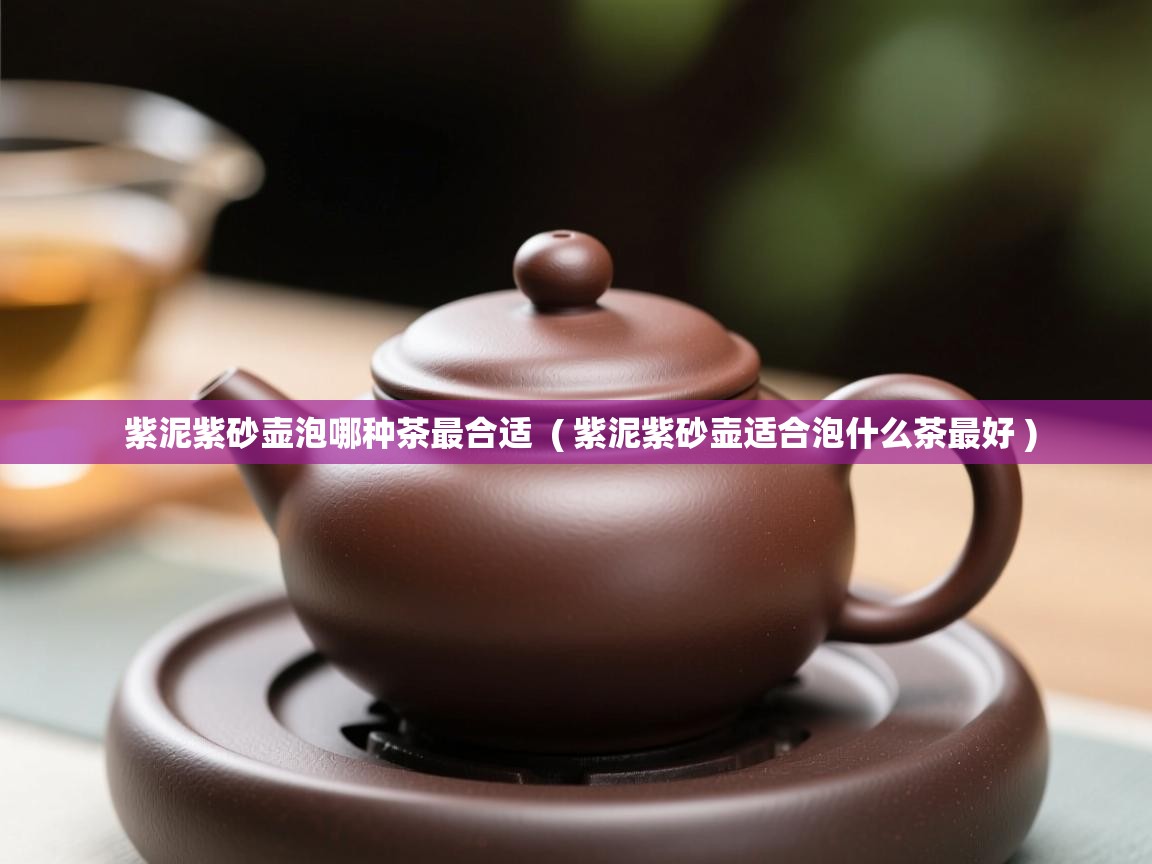  紫泥紫砂壶泡哪种茶最合适  ( 紫泥紫砂壶适合泡什么茶最好 )