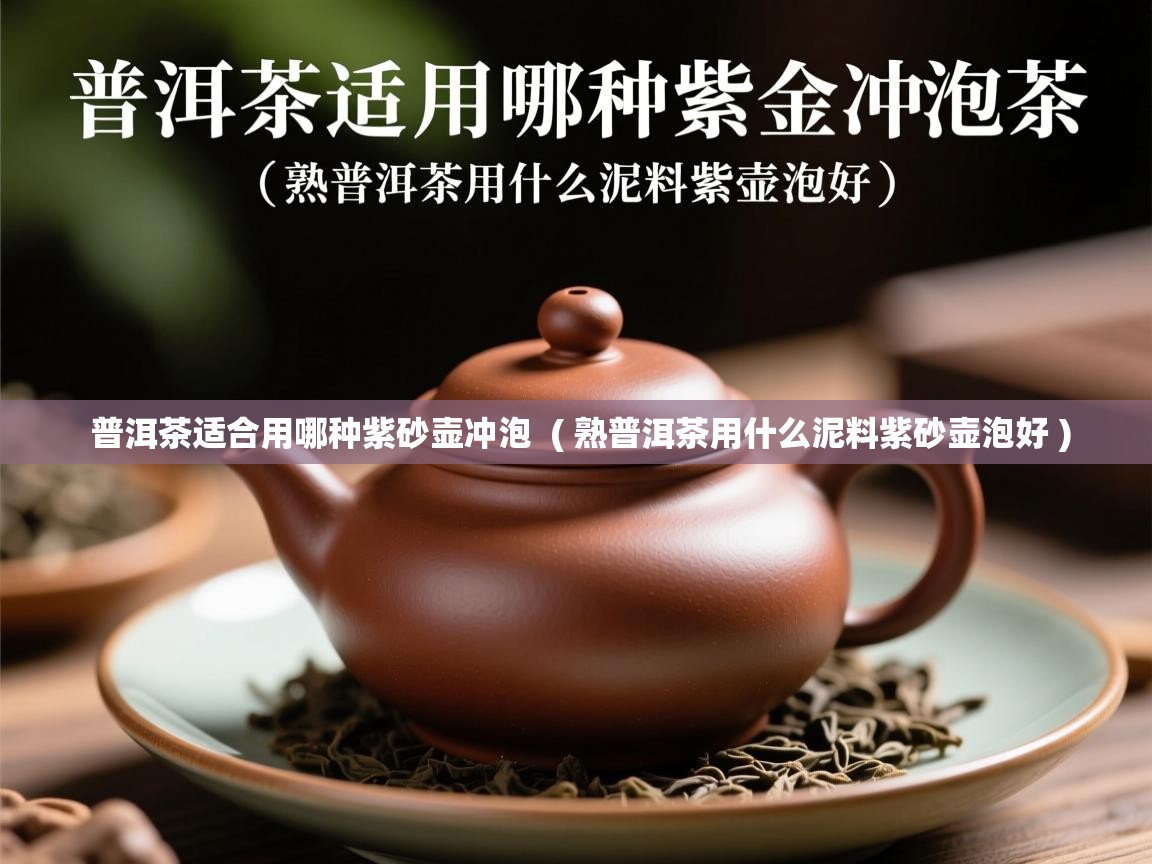 普洱茶适合用哪种紫砂壶冲泡  ( 熟普洱茶用什么泥料紫砂壶泡好 )  普洱茶适合用哪种紫砂壶冲泡  ( 熟普洱茶用什么泥料紫砂壶泡好 )