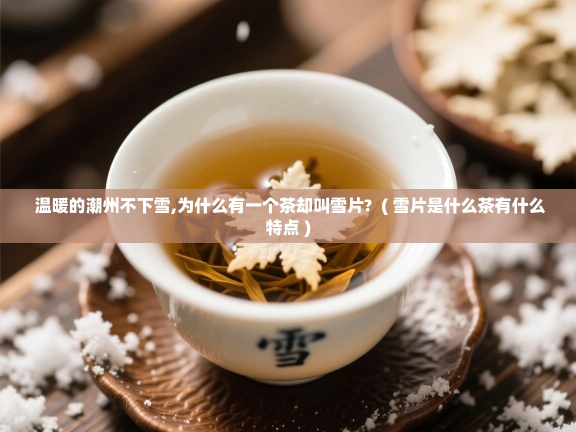 温暖的潮州不下雪,为什么有一个茶却叫雪片?  ( 雪片是什么茶有什么特点 )  温暖的潮州不下雪,为什么有一个茶却叫雪片?  ( 雪片是什么茶有什么特点 )