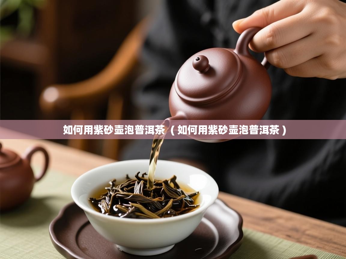 如何用紫砂壶泡普洱茶  ( 如何用紫砂壶泡普洱茶 )  如何用紫砂壶泡普洱茶  ( 如何用紫砂壶泡普洱茶 )