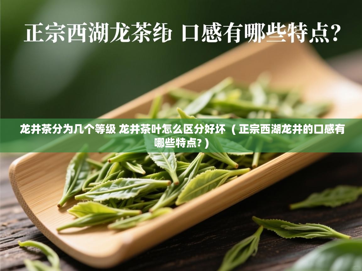 龙井茶分为几个等级 龙井茶叶怎么区分好坏  ( 正宗西湖龙井的口感有哪些特点? )  龙井茶分为几个等级 龙井茶叶怎么区分好坏  ( 正宗西湖龙井的口感有哪些特点? )
