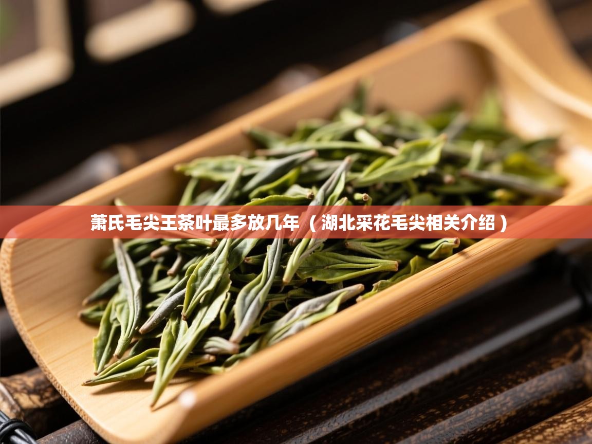 萧氏毛尖王茶叶最多放几年  ( 湖北采花毛尖相关介绍 )  萧氏毛尖王茶叶最多放几年  ( 湖北采花毛尖相关介绍 )