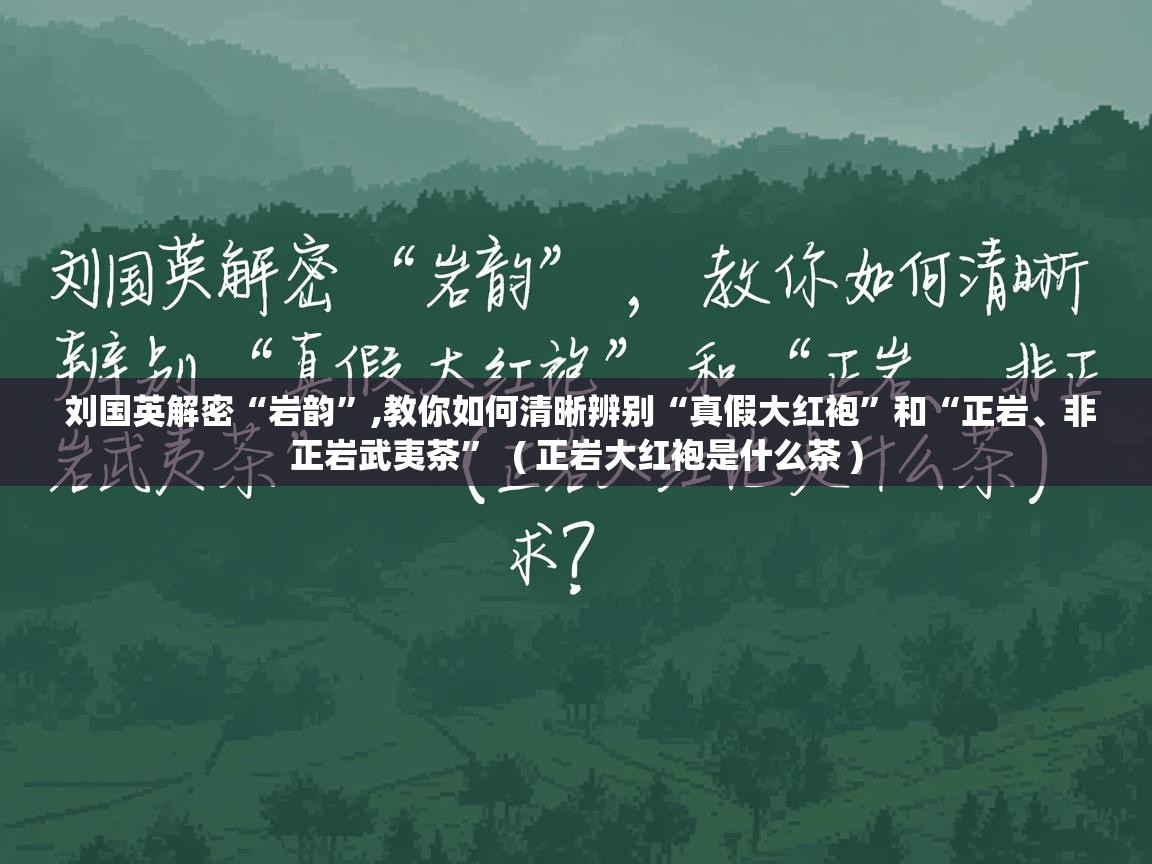 刘国英解密“岩韵”,教你如何清晰辨别“真假大红袍”和“正岩、非正岩武夷茶”  ( 正岩大红袍是什么茶 )  刘国英解密“岩韵”,教你如何清晰辨别“真假大红袍”和“正岩、非正岩武夷茶”  ( 正岩大红袍是什么茶 )