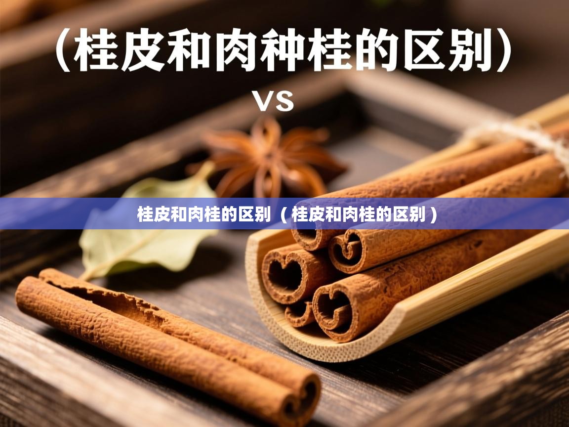  桂皮和肉桂的区别  ( 桂皮和肉桂的区别 )