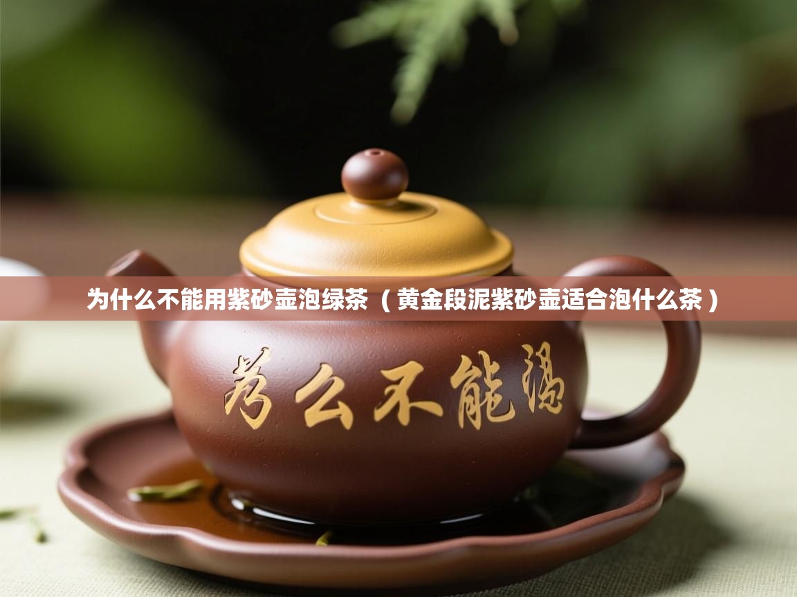 为什么不能用紫砂壶泡绿茶  ( 黄金段泥紫砂壶适合泡什么茶 )  为什么不能用紫砂壶泡绿茶  ( 黄金段泥紫砂壶适合泡什么茶 )