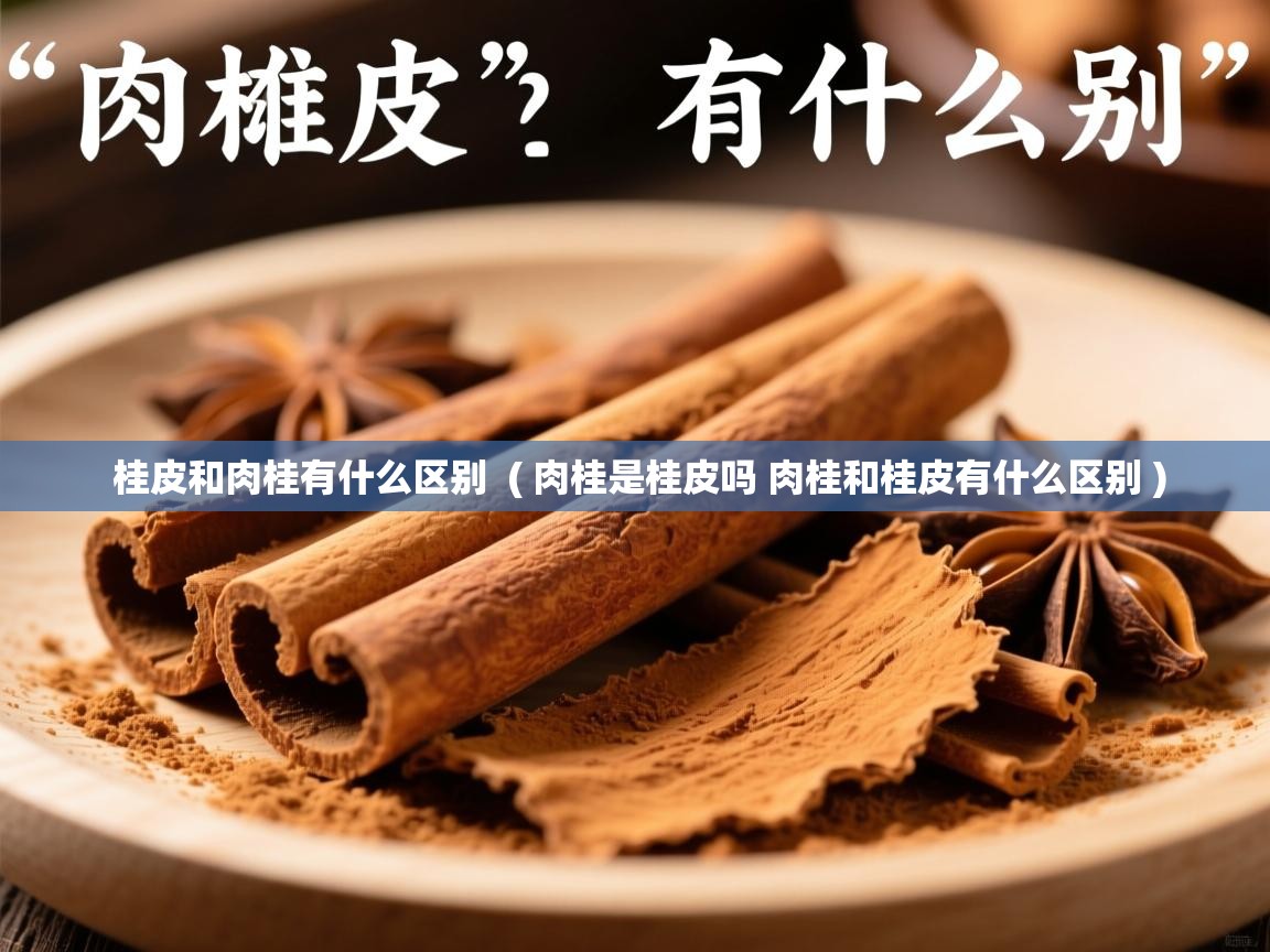 桂皮和肉桂有什么区别  ( 肉桂是桂皮吗 肉桂和桂皮有什么区别 )