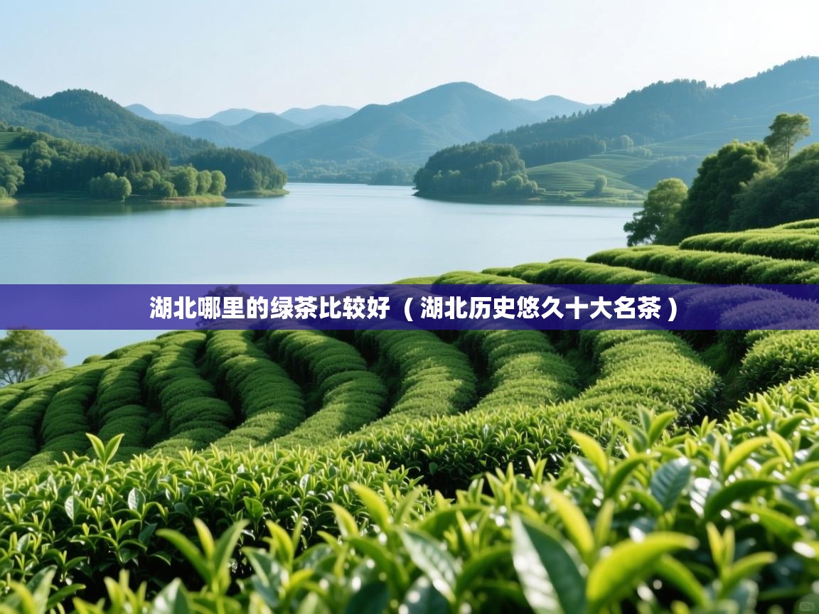 湖北哪里的绿茶比较好  ( 湖北历史悠久十大名茶 )