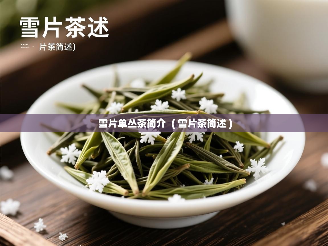 雪片单丛茶简介  ( 雪片茶简述 )  雪片单丛茶简介  ( 雪片茶简述 )