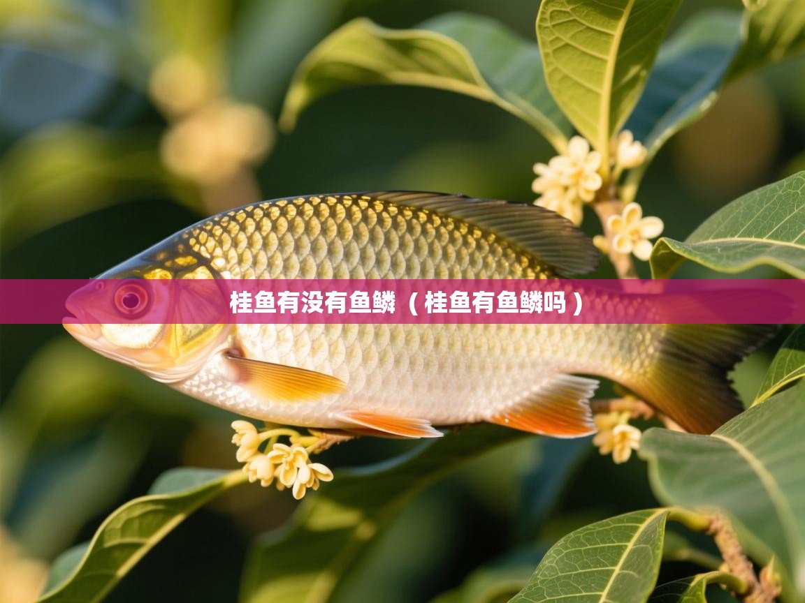  桂鱼有没有鱼鳞  ( 桂鱼有鱼鳞吗 )