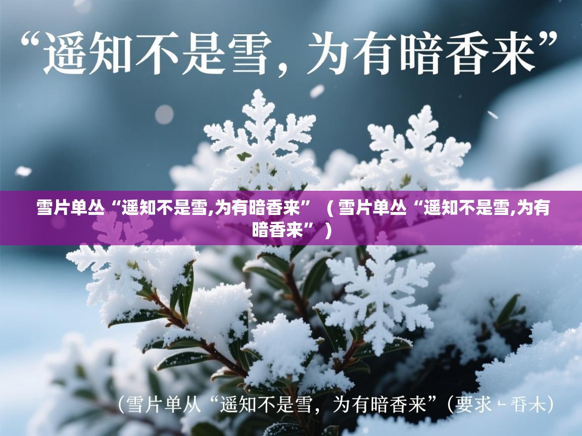 雪片单丛“遥知不是雪,为有暗香来”  ( 雪片单丛“遥知不是雪,为有暗香来” )  雪片单丛“遥知不是雪,为有暗香来”  ( 雪片单丛“遥知不是雪,为有暗香来” )