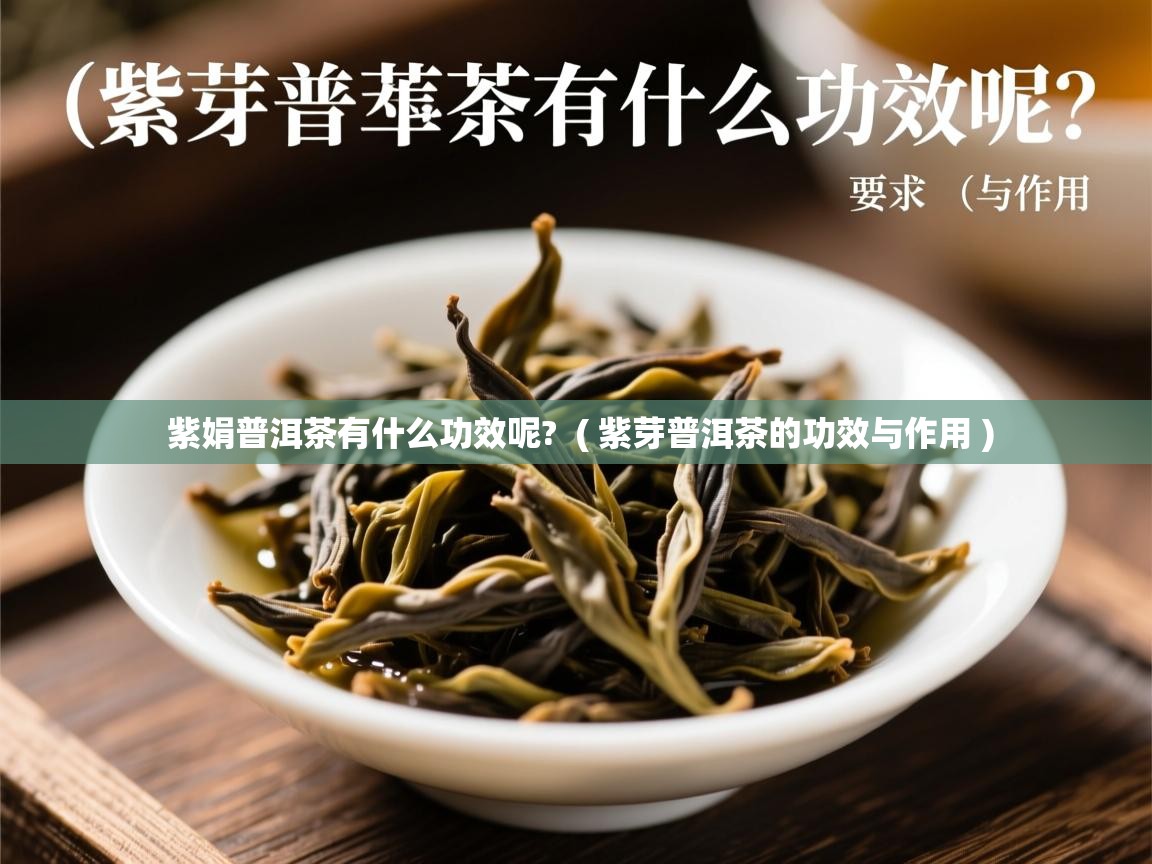 紫娟普洱茶有什么功效呢?  ( 紫芽普洱茶的功效与作用 )  紫娟普洱茶有什么功效呢?  ( 紫芽普洱茶的功效与作用 )