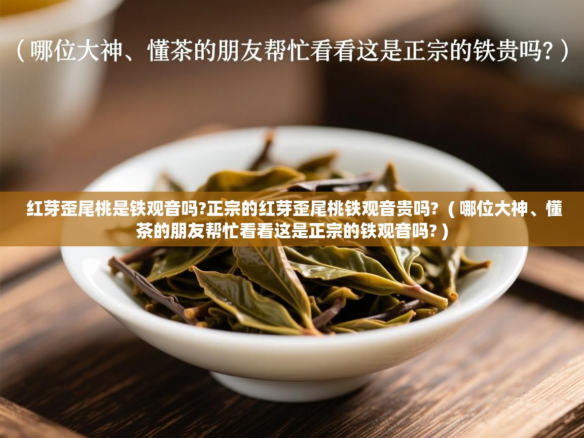 红芽歪尾桃是铁观音吗?正宗的红芽歪尾桃铁观音贵吗? ( 哪位大神、懂茶的朋友帮忙看看这是正宗的铁观音吗? ) 红芽歪尾桃是铁观音吗?正宗的红芽歪尾桃铁观音贵吗? ( 哪位大神、懂茶的朋友帮忙看看这是正宗的铁观音吗? )