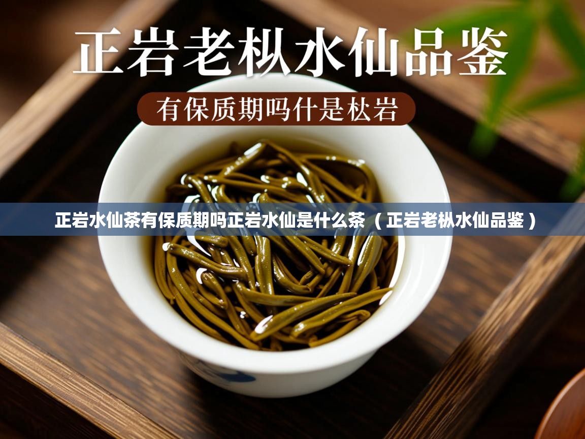正岩水仙茶有保质期吗正岩水仙是什么茶  ( 正岩老枞水仙品鉴 )  正岩水仙茶有保质期吗正岩水仙是什么茶  ( 正岩老枞水仙品鉴 )