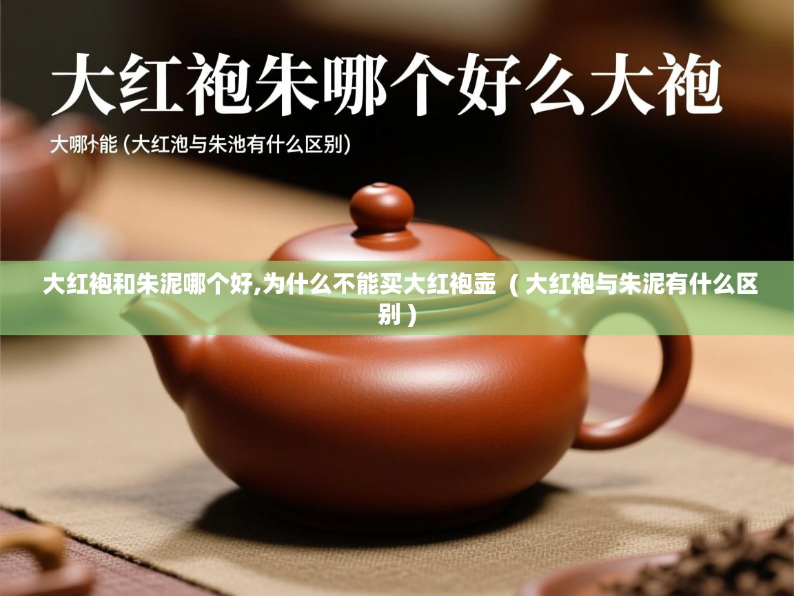  大红袍和朱泥哪个好,为什么不能买大红袍壶  ( 大红袍与朱泥有什么区别 )