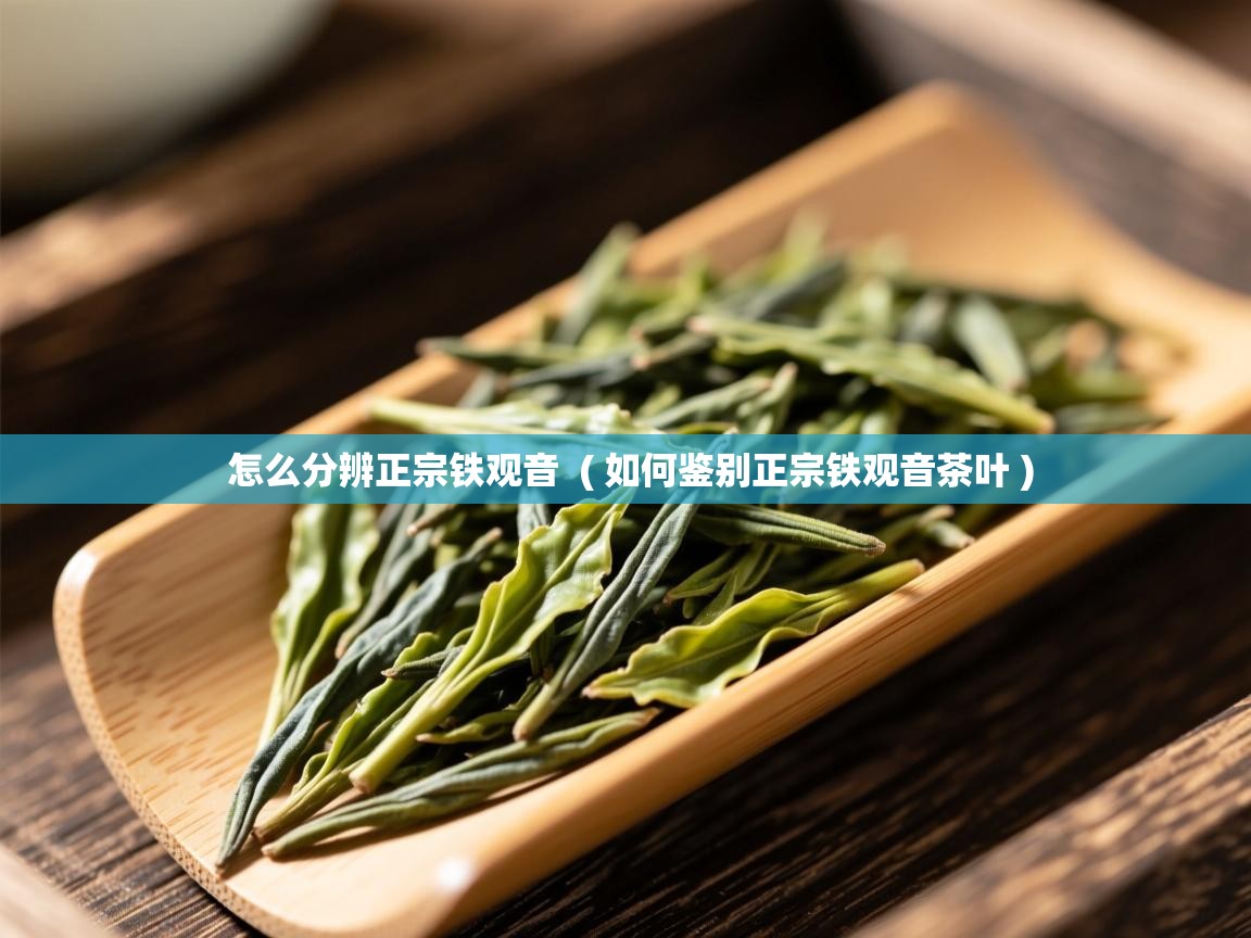 怎么分辨正宗铁观音  ( 如何鉴别正宗铁观音茶叶 )  怎么分辨正宗铁观音  ( 如何鉴别正宗铁观音茶叶 )