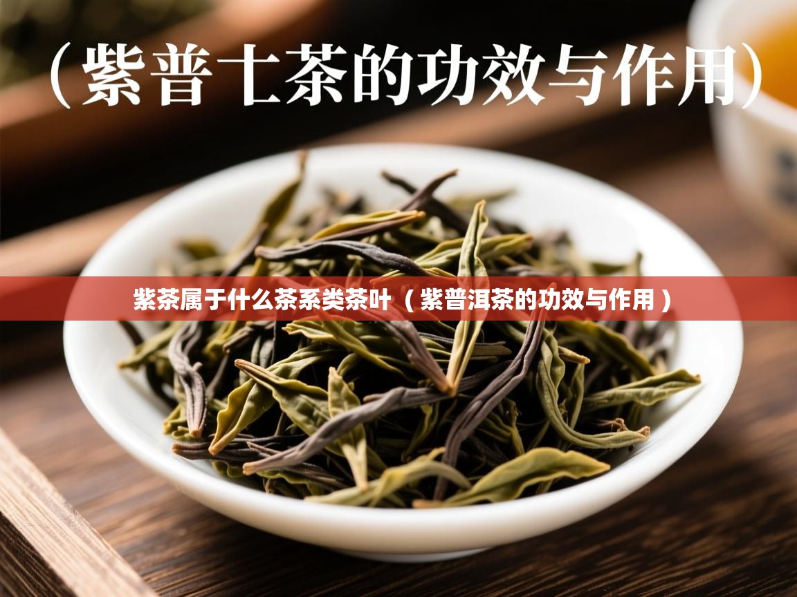 详细阅读: 紫茶属于什么茶系类茶叶  ( 紫普洱茶的功效与作用 )  紫茶属于什么茶系类茶叶  ( 紫普洱茶的功效与作用 )