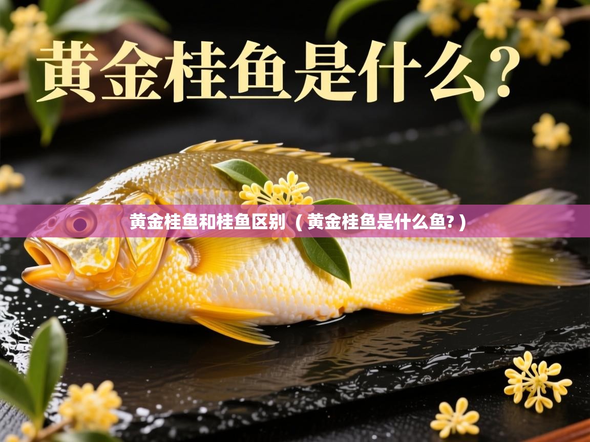  黄金桂鱼和桂鱼区别  ( 黄金桂鱼是什么鱼? )