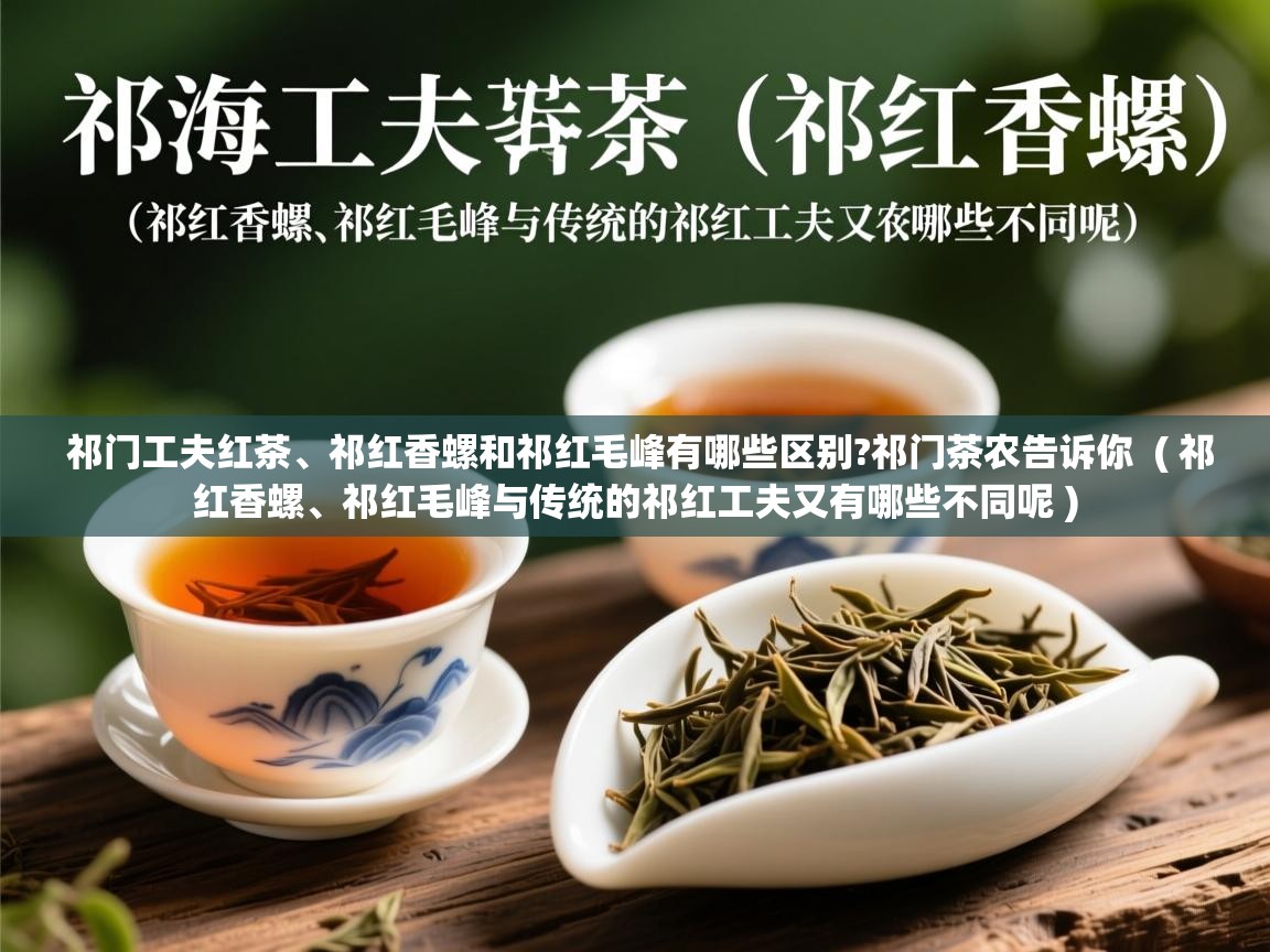 祁门工夫红茶、祁红香螺和祁红毛峰有哪些区别?祁门茶农告诉你  ( 祁红香螺、祁红毛峰与传统的祁红工夫又有哪些不同呢 )  祁门工夫红茶、祁红香螺和祁红毛峰有哪些区别?祁门茶农告诉你  ( 祁红香螺、祁红毛峰与传统的祁红工夫又有哪些不同呢 )