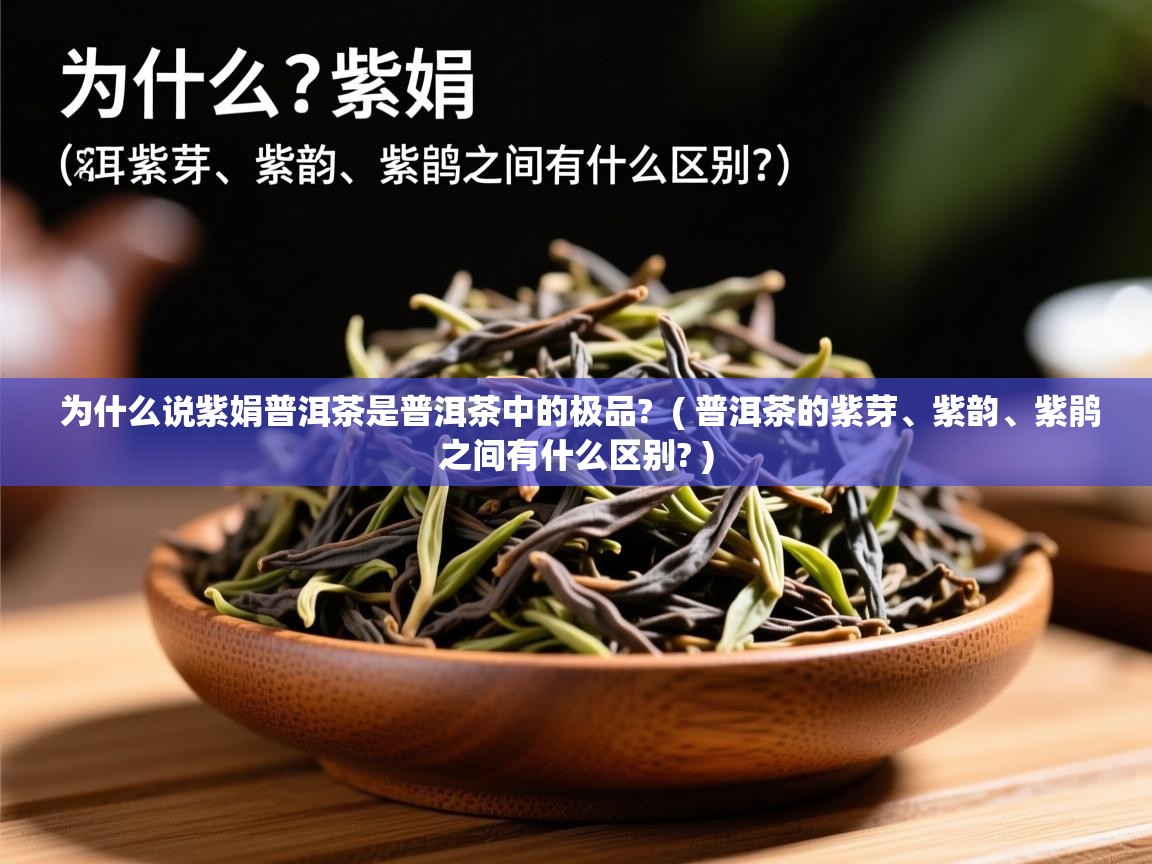 详细阅读: 为什么说紫娟普洱茶是普洱茶中的极品?  ( 普洱茶的紫芽、紫韵、紫鹃之间有什么区别? )  为什么说紫娟普洱茶是普洱茶中的极品?  ( 普洱茶的紫芽、紫韵、紫鹃之间有什么区别? )