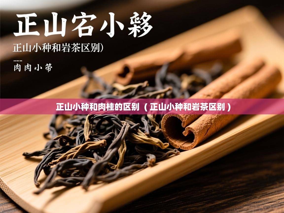  正山小种和肉桂的区别  ( 正山小种和岩茶区别 )