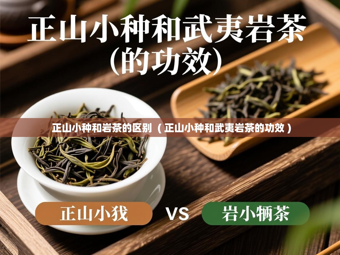 详细阅读: 正山小种和岩茶的区别  ( 正山小种和武夷岩茶的功效 )  正山小种和岩茶的区别  ( 正山小种和武夷岩茶的功效 )