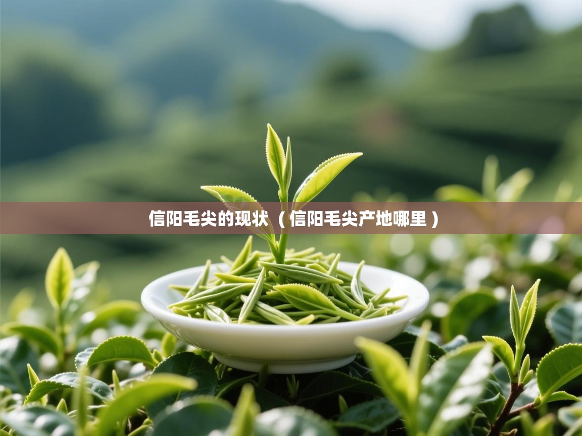  信阳毛尖的现状  ( 信阳毛尖产地哪里 )