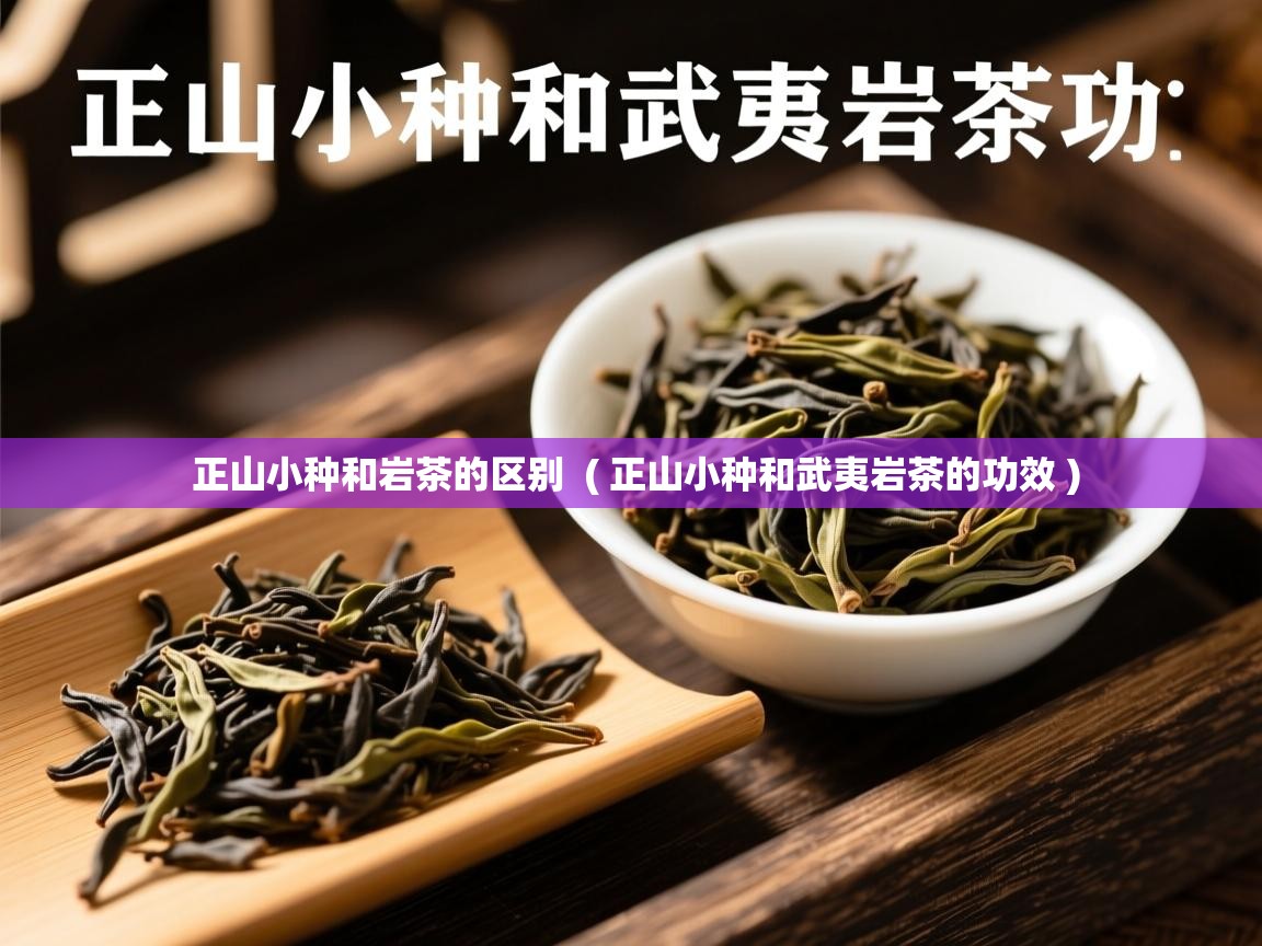 正山小种和岩茶的区别  ( 正山小种和武夷岩茶的功效 )  正山小种和岩茶的区别  ( 正山小种和武夷岩茶的功效 )
