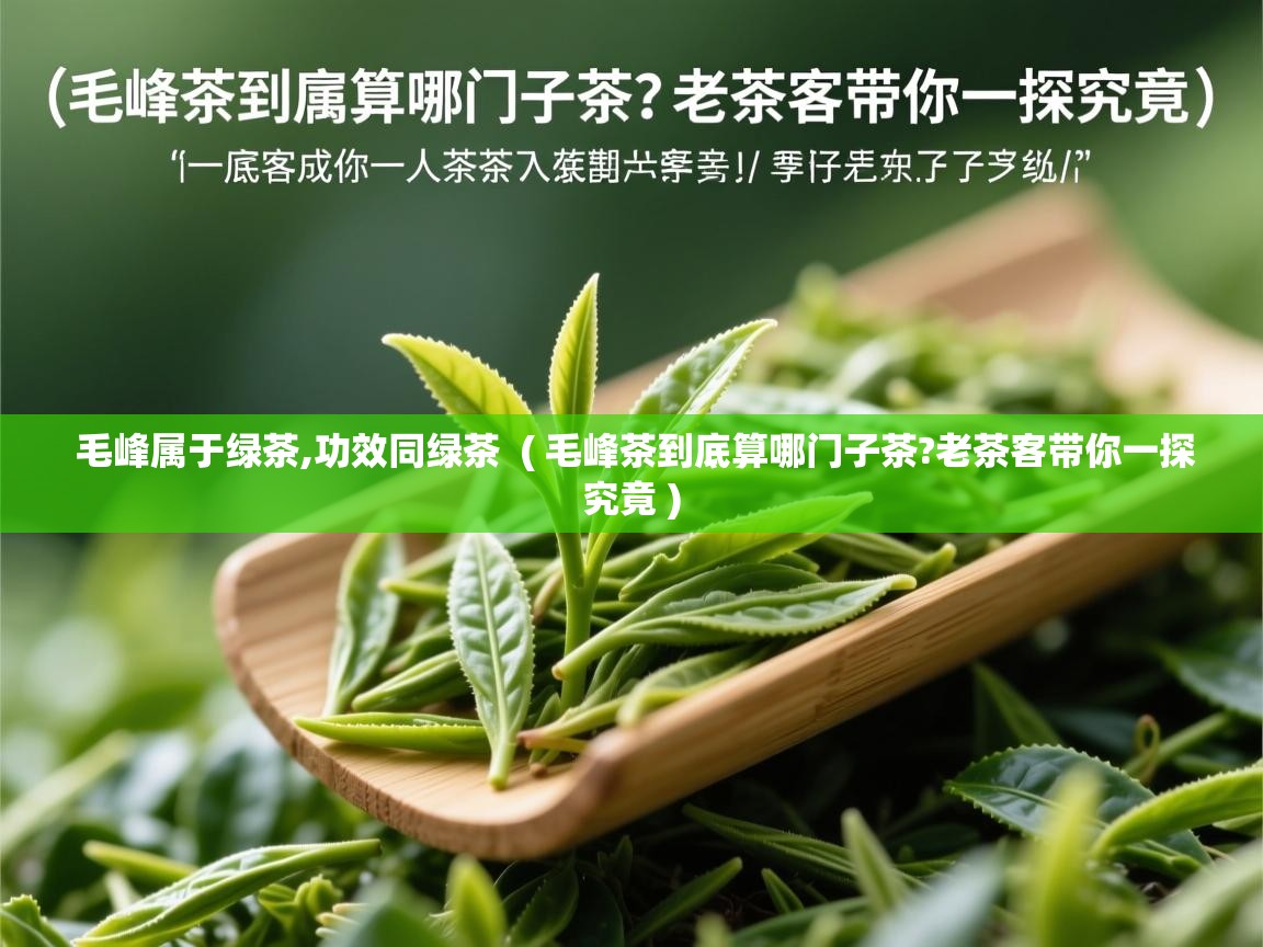  毛峰属于绿茶,功效同绿茶  ( 毛峰茶到底算哪门子茶?老茶客带你一探究竟 )