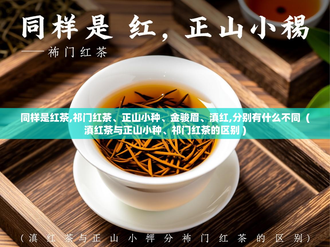 详细阅读: 同样是红茶,祁门红茶、正山小种、金骏眉、滇红,分别有什么不同  ( 滇红茶与正山小种、祁门红茶的区别 )  同样是红茶,祁门红茶、正山小种、金骏眉、滇红,分别有什么不同  ( 滇红茶与正山小种、祁门红茶的区别 )
