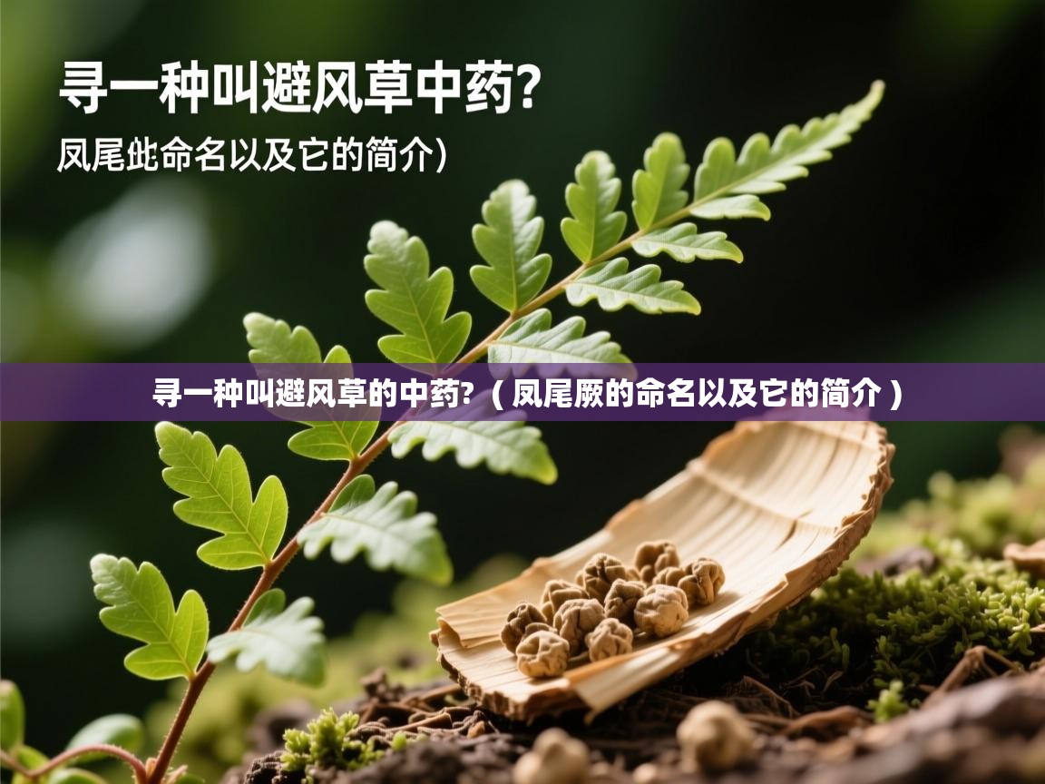 寻一种叫避风草的中药?  ( 凤尾厥的命名以及它的简介 )  寻一种叫避风草的中药?  ( 凤尾厥的命名以及它的简介 )