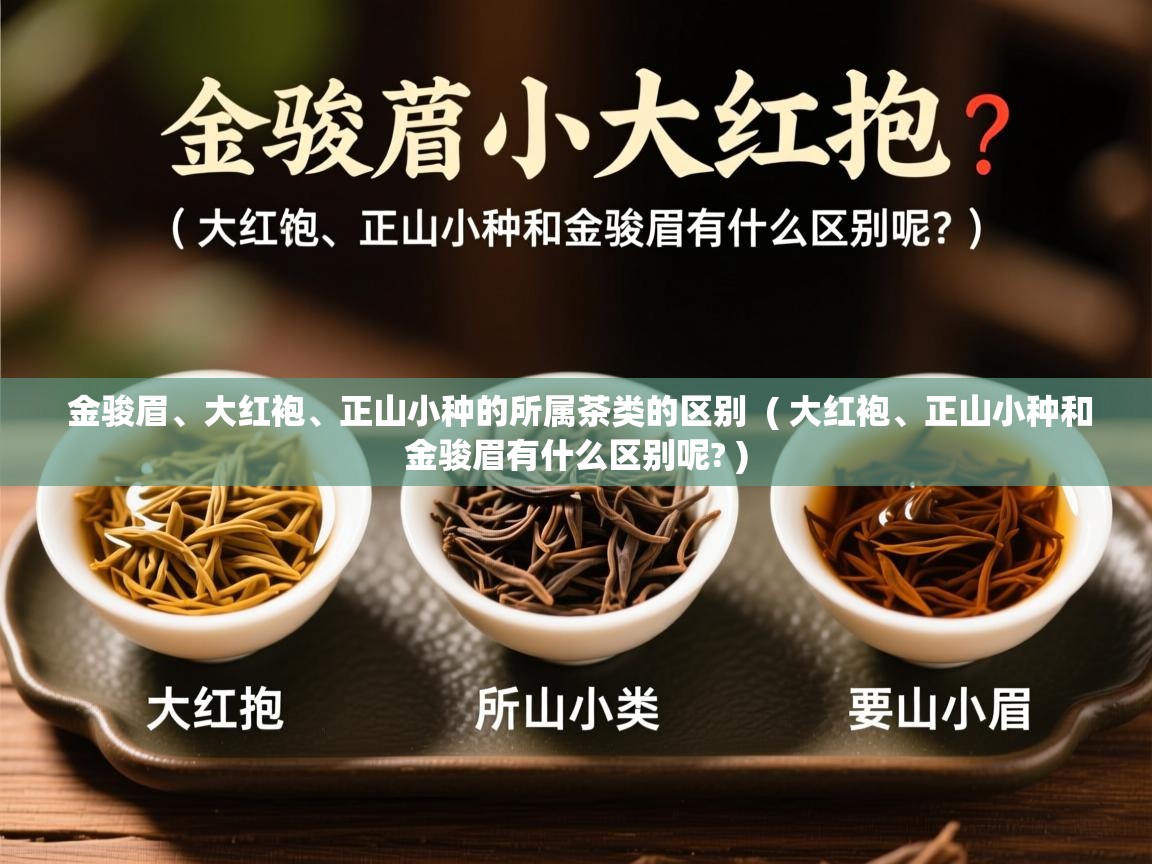 金骏眉、大红袍、正山小种的所属茶类的区别  ( 大红袍、正山小种和金骏眉有什么区别呢? )  金骏眉、大红袍、正山小种的所属茶类的区别  ( 大红袍、正山小种和金骏眉有什么区别呢? )