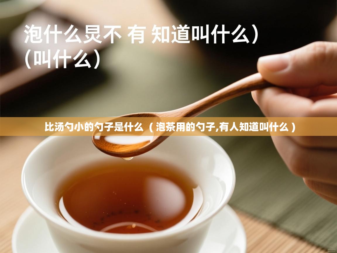  比汤勺小的勺子是什么  ( 泡茶用的勺子,有人知道叫什么 )