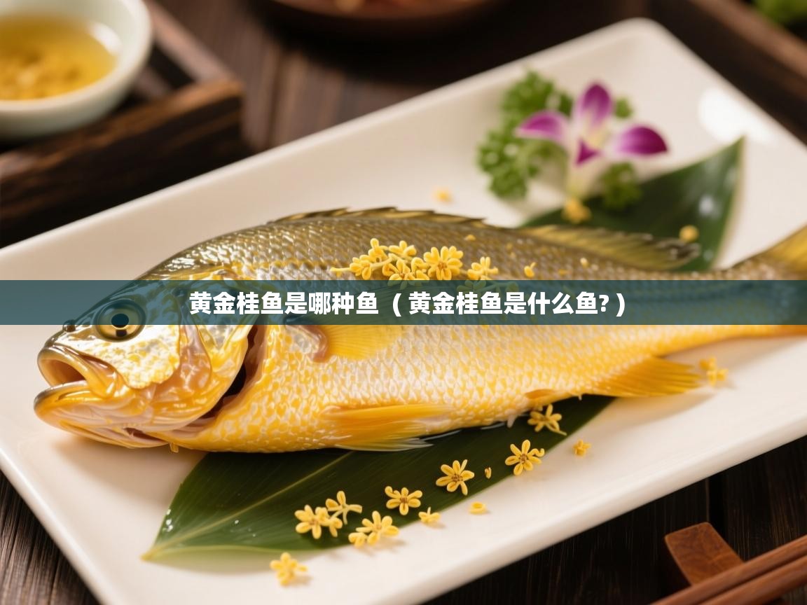  黄金桂鱼是哪种鱼  ( 黄金桂鱼是什么鱼? )