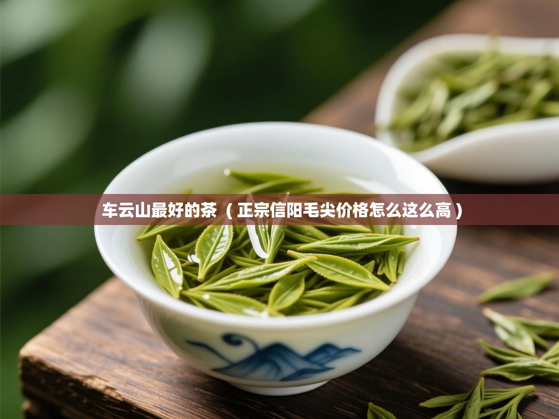  车云山最好的茶  ( 正宗信阳毛尖价格怎么这么高 )