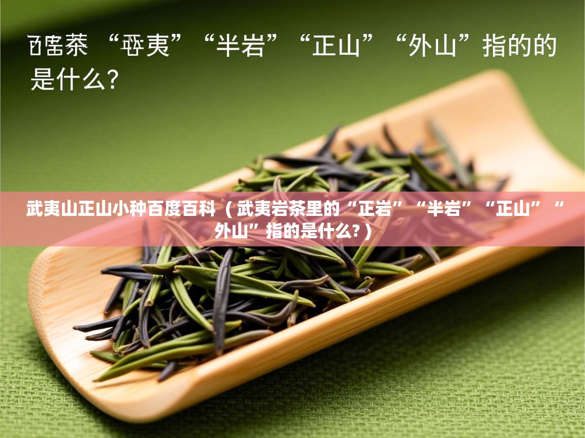 武夷山正山小种百度百科  ( 武夷岩茶里的“正岩”“半岩”“正山”“外山”指的是什么? )  武夷山正山小种百度百科  ( 武夷岩茶里的“正岩”“半岩”“正山”“外山”指的是什么? )