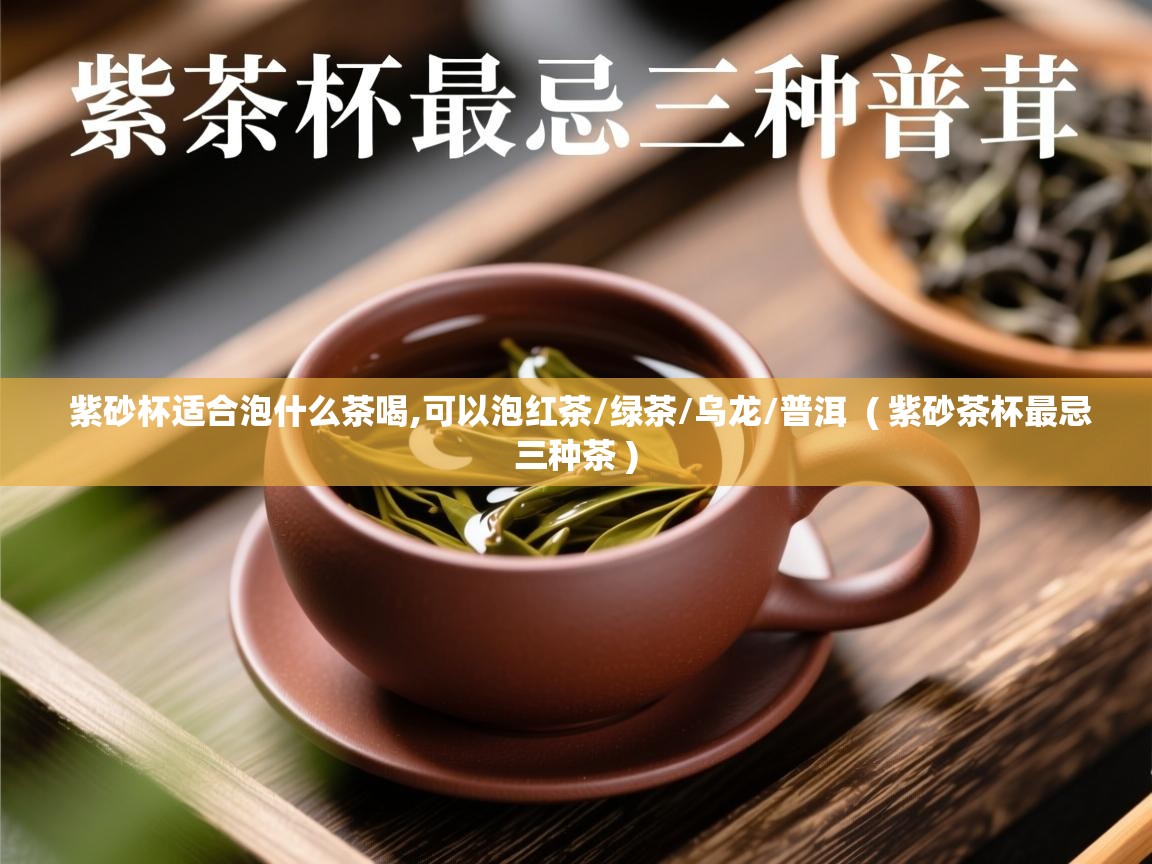  紫砂杯适合泡什么茶喝,可以泡红茶/绿茶/乌龙/普洱  ( 紫砂茶杯最忌三种茶 )