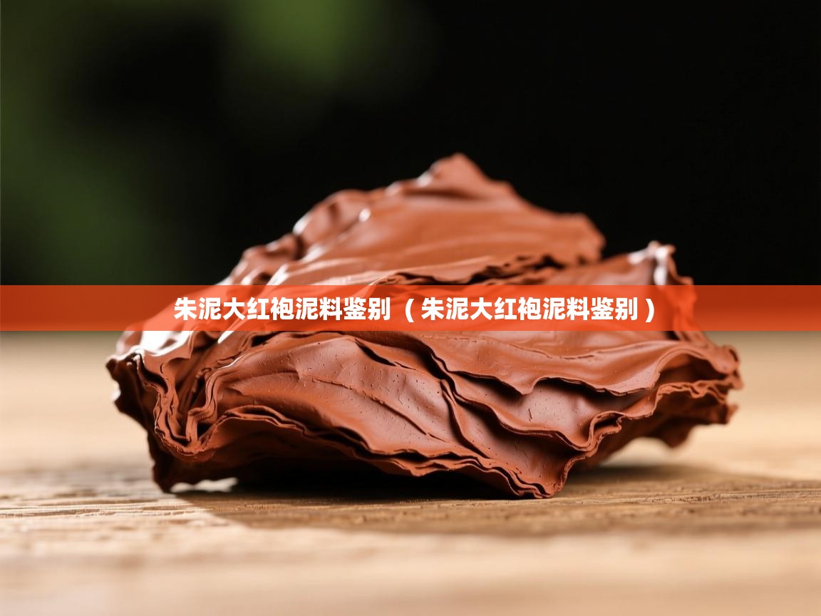  朱泥大红袍泥料鉴别  ( 朱泥大红袍泥料鉴别 )