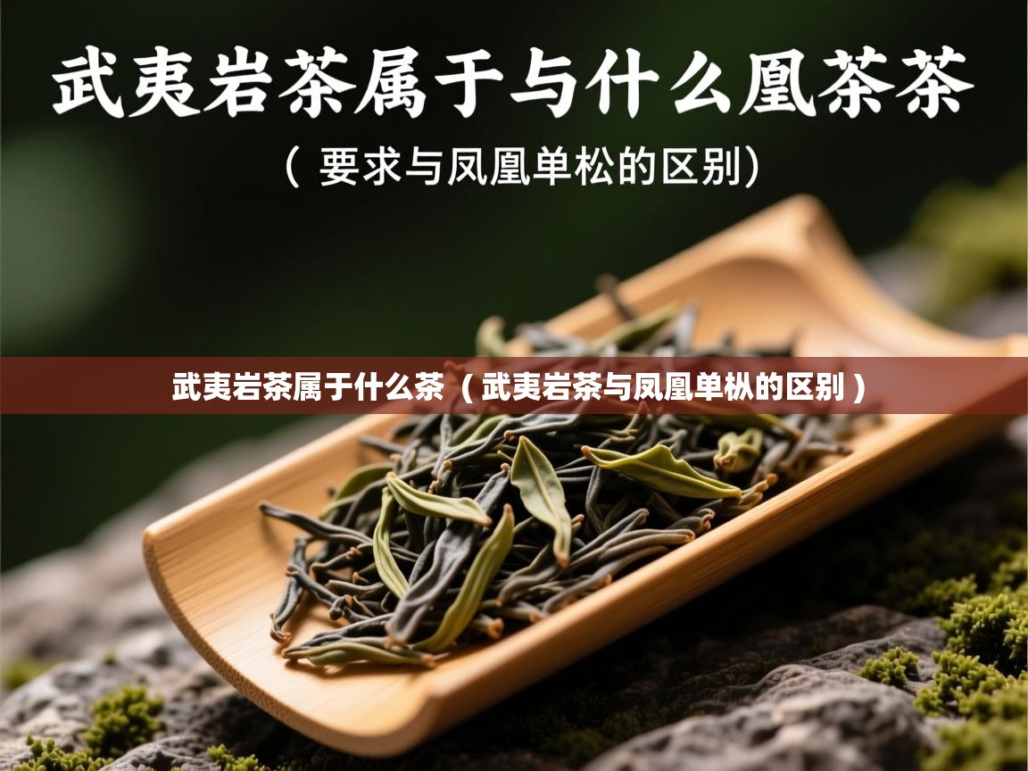  武夷岩茶属于什么茶  ( 武夷岩茶与凤凰单枞的区别 )