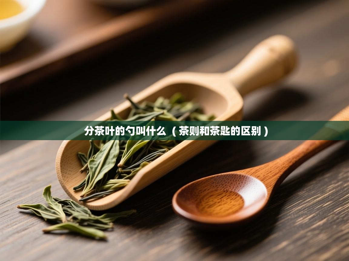 分茶叶的勺叫什么  ( 茶则和茶匙的区别 )  分茶叶的勺叫什么  ( 茶则和茶匙的区别 )