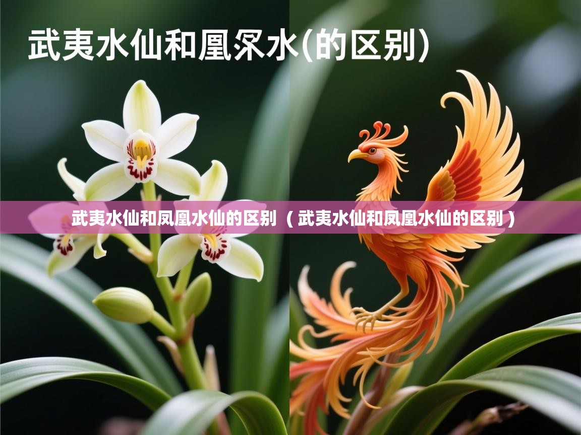 详细阅读: 武夷水仙和凤凰水仙的区别  ( 武夷水仙和凤凰水仙的区别 )  武夷水仙和凤凰水仙的区别  ( 武夷水仙和凤凰水仙的区别 )