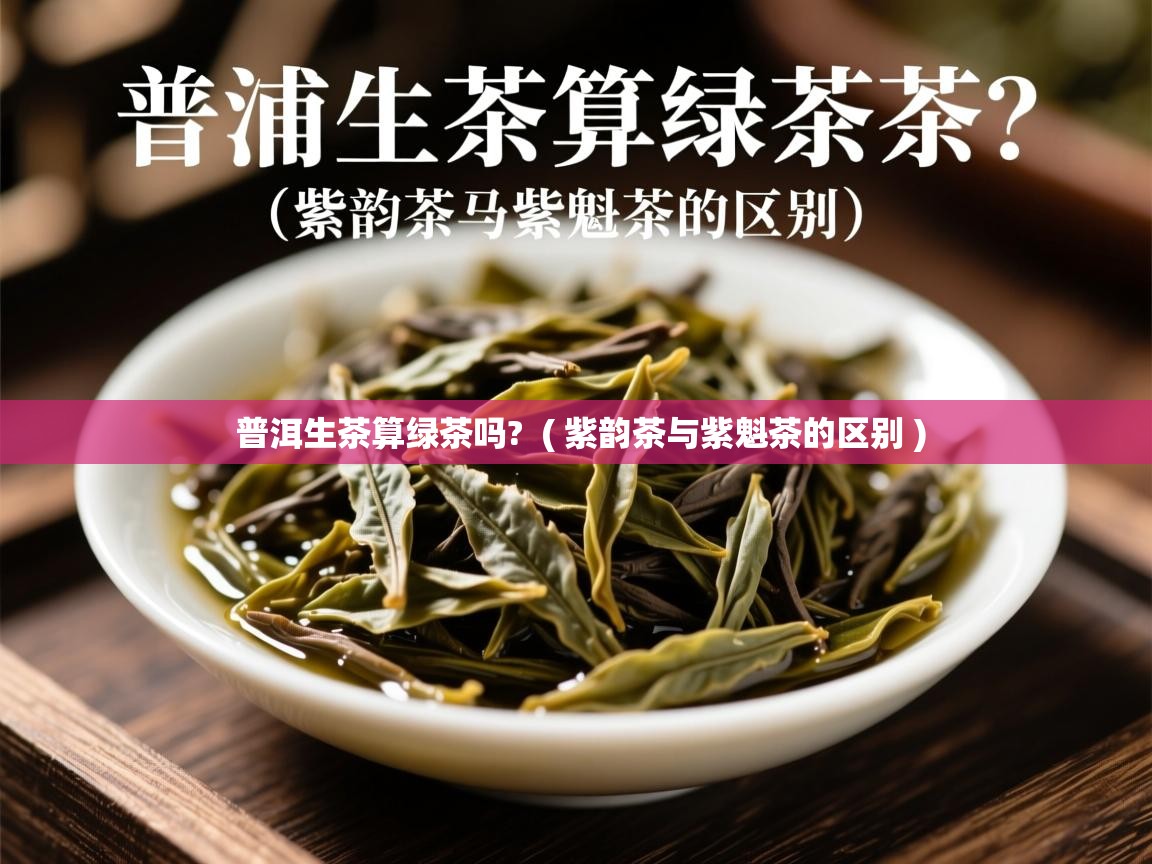 普洱生茶算绿茶吗?  ( 紫韵茶与紫魁茶的区别 )  普洱生茶算绿茶吗?  ( 紫韵茶与紫魁茶的区别 )