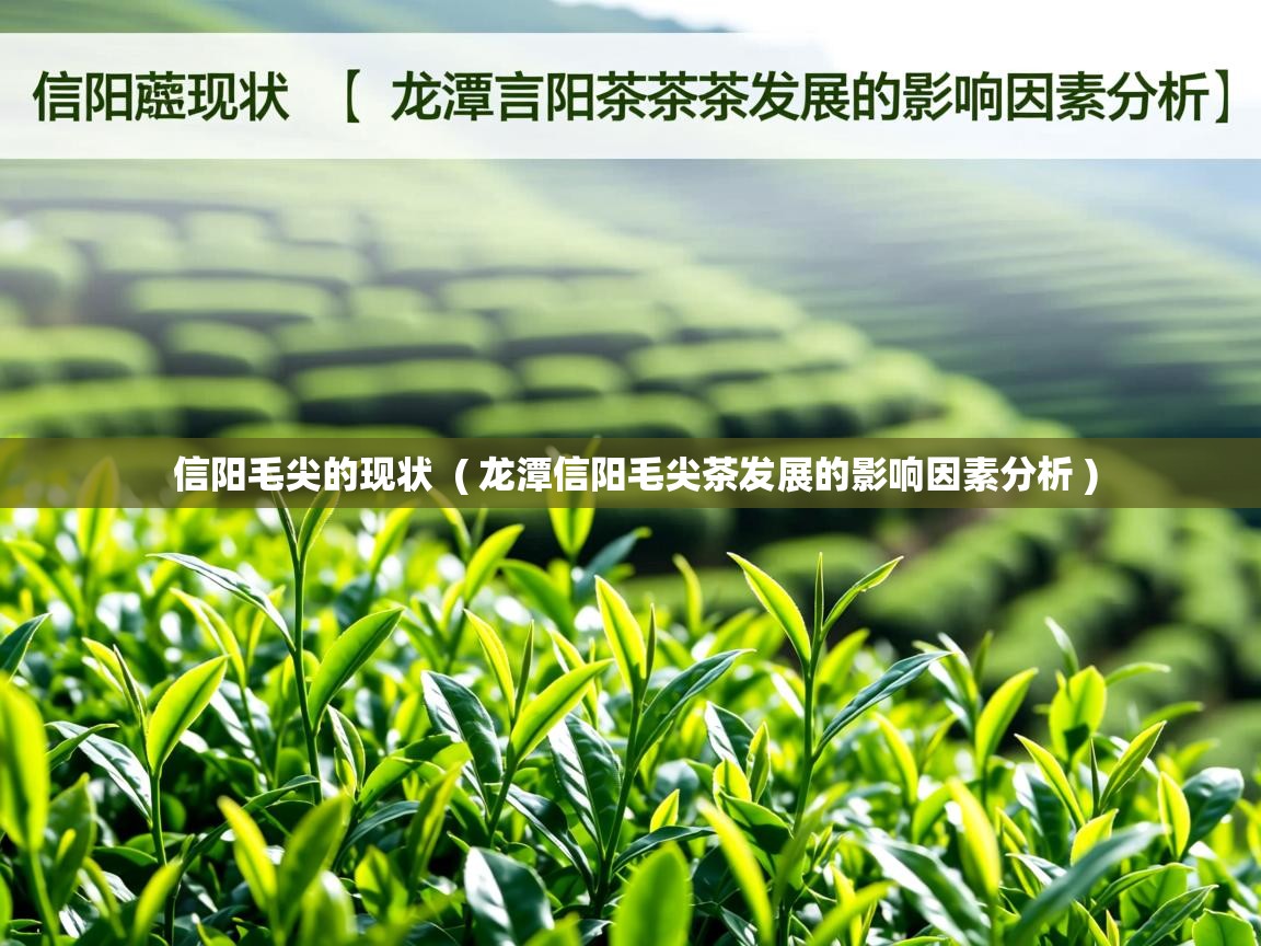信阳毛尖的现状  ( 龙潭信阳毛尖茶发展的影响因素分析 )  信阳毛尖的现状  ( 龙潭信阳毛尖茶发展的影响因素分析 )