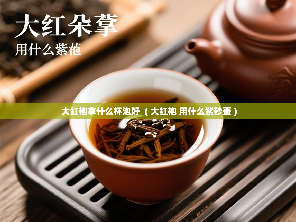 大红袍拿什么杯泡好  ( 大红袍 用什么紫砂壶 )  大红袍拿什么杯泡好  ( 大红袍 用什么紫砂壶 )