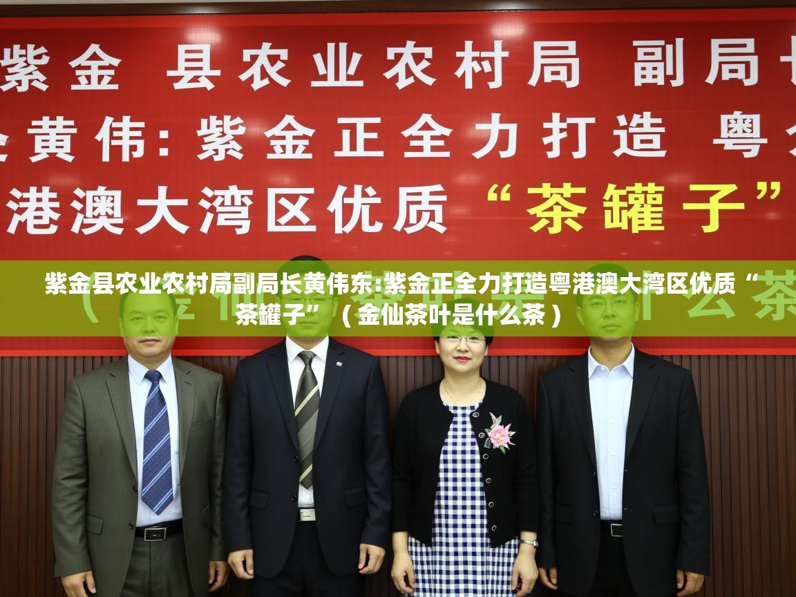 紫金县农业农村局副局长黄伟东:紫金正全力打造粤港澳大湾区优质“茶罐子”  ( 金仙茶叶是什么茶 )  紫金县农业农村局副局长黄伟东:紫金正全力打造粤港澳大湾区优质“茶罐子”  ( 金仙茶叶是什么茶 )