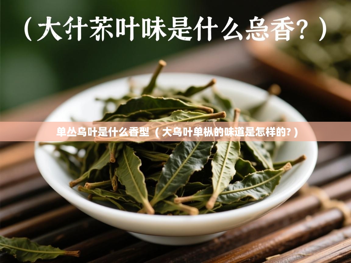 单丛乌叶是什么香型  ( 大乌叶单枞的味道是怎样的? )  单丛乌叶是什么香型  ( 大乌叶单枞的味道是怎样的? )