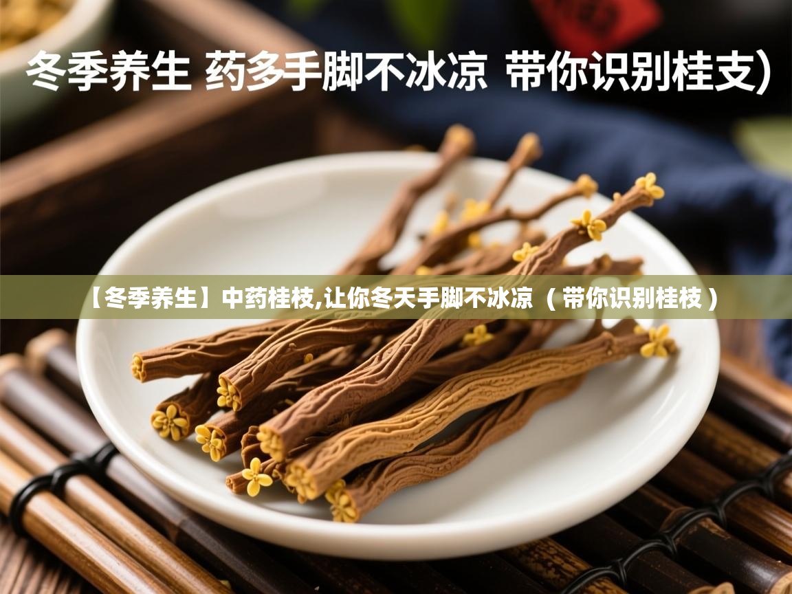  【冬季养生】中药桂枝,让你冬天手脚不冰凉  ( 带你识别桂枝 )