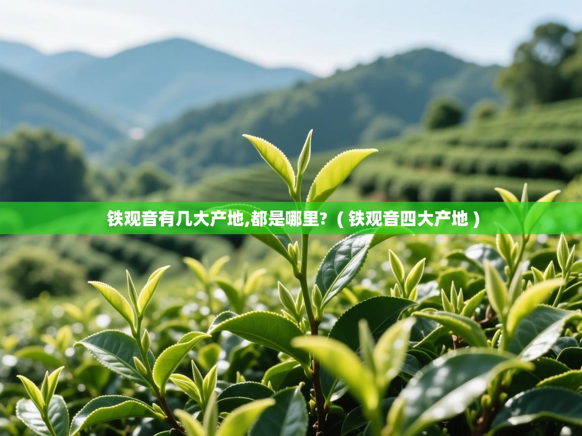 铁观音有几大产地,都是哪里?  ( 铁观音四大产地 )  铁观音有几大产地,都是哪里?  ( 铁观音四大产地 )