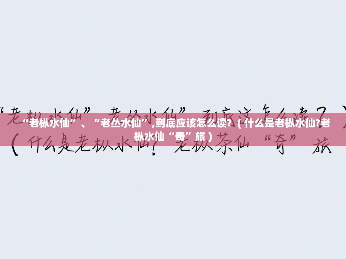 “老枞水仙”、“老丛水仙”,到底应该怎么读?  ( 什么是老枞水仙?老枞水仙“奇”旅 )  “老枞水仙”、“老丛水仙”,到底应该怎么读?  ( 什么是老枞水仙?老枞水仙“奇”旅 )
