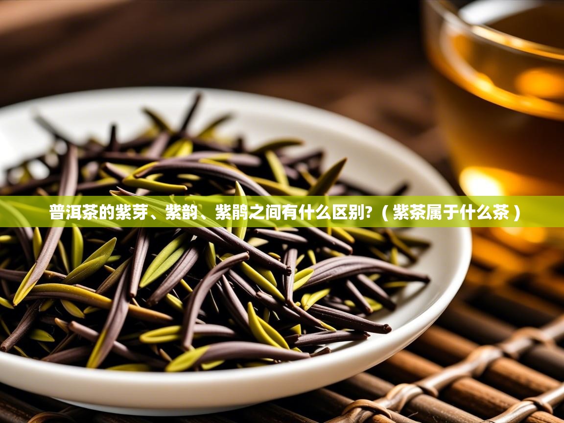 详细阅读: 普洱茶的紫芽、紫韵、紫鹃之间有什么区别?  ( 紫茶属于什么茶 )  普洱茶的紫芽、紫韵、紫鹃之间有什么区别?  ( 紫茶属于什么茶 )